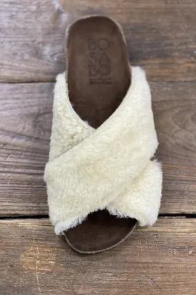 BOSABO MOUTON CHAMPAGNE SLIDES